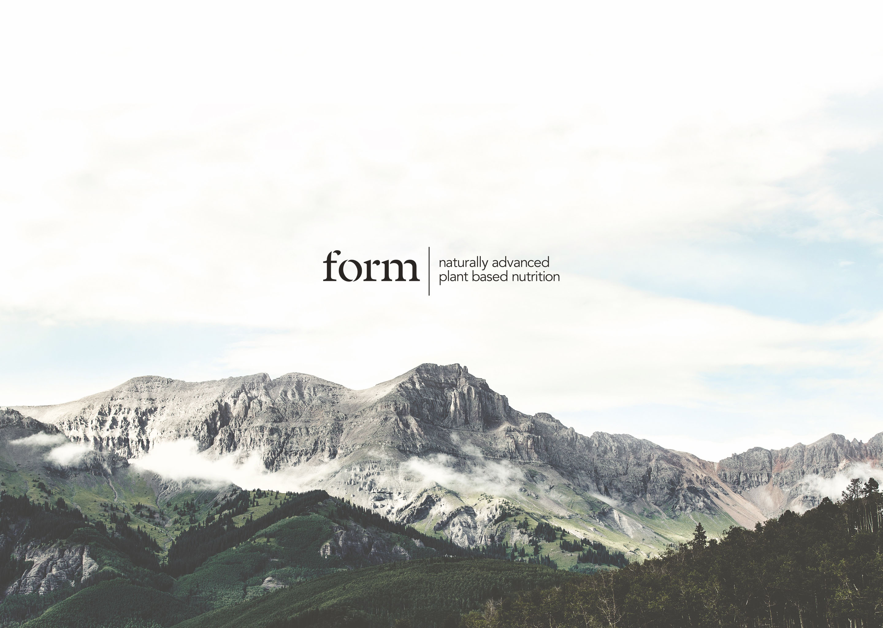 Form_1